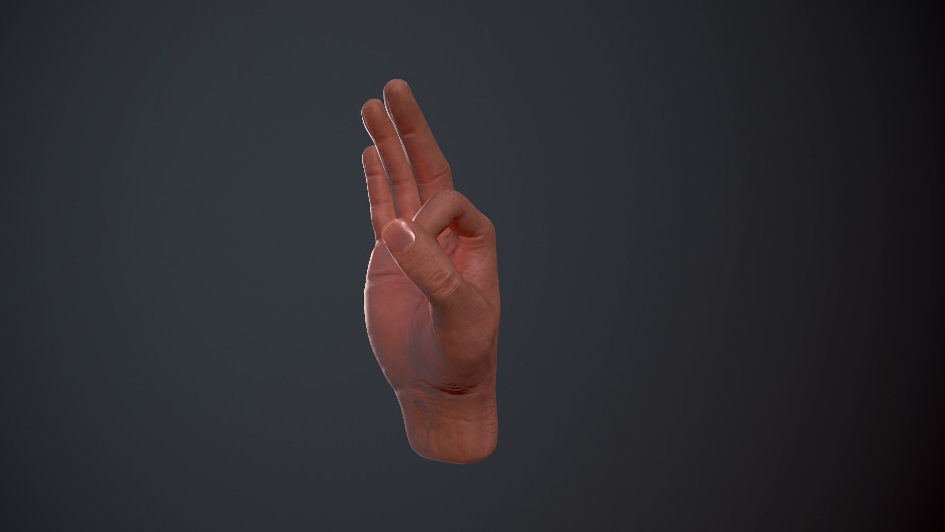 Male Hand Low-poly 3D model_20