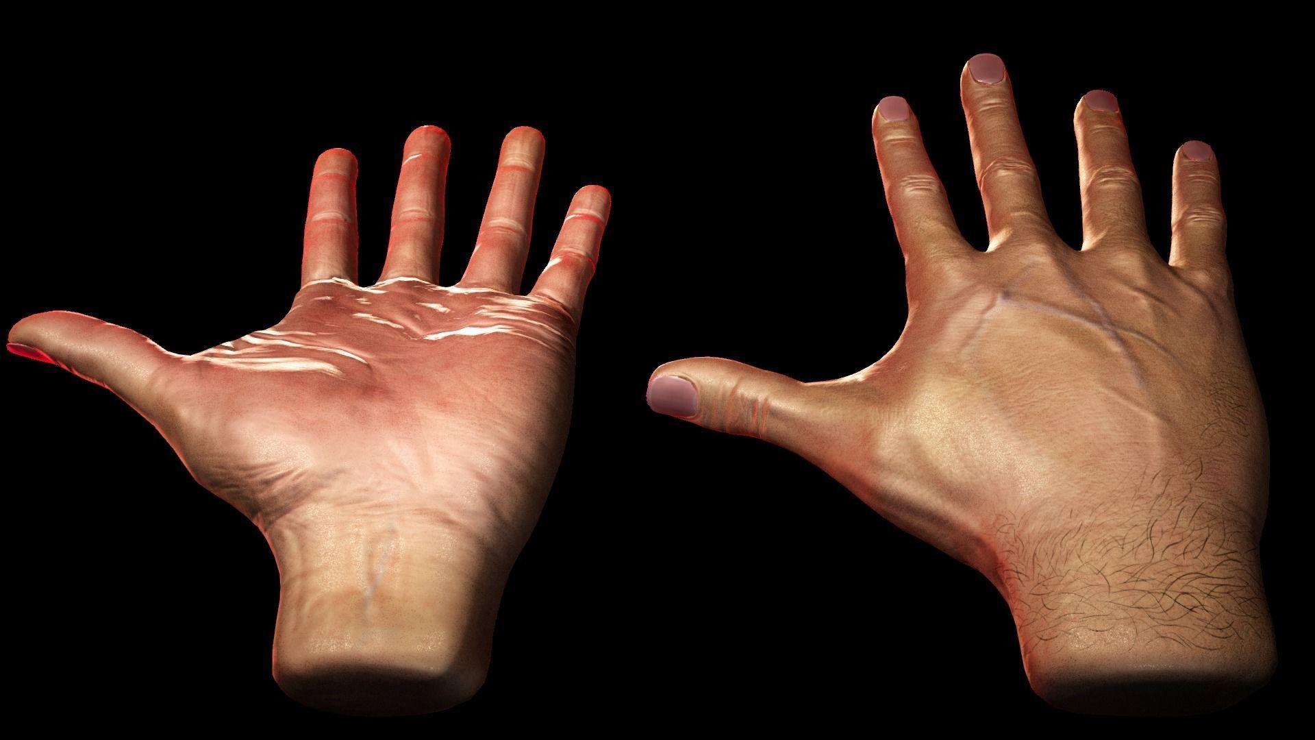 Male Hand Low-poly 3D model_2