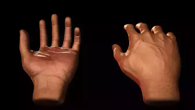 Male Hand Low-poly 3D model