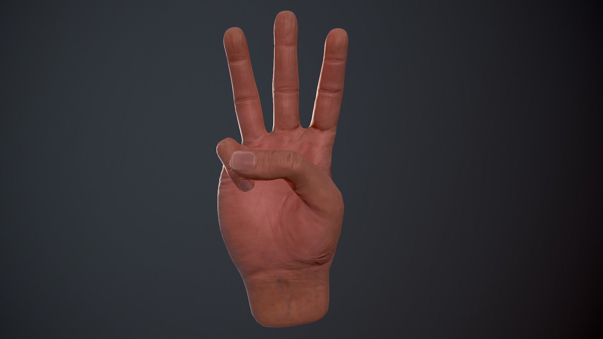 Male Hand Low-poly 3D model_18