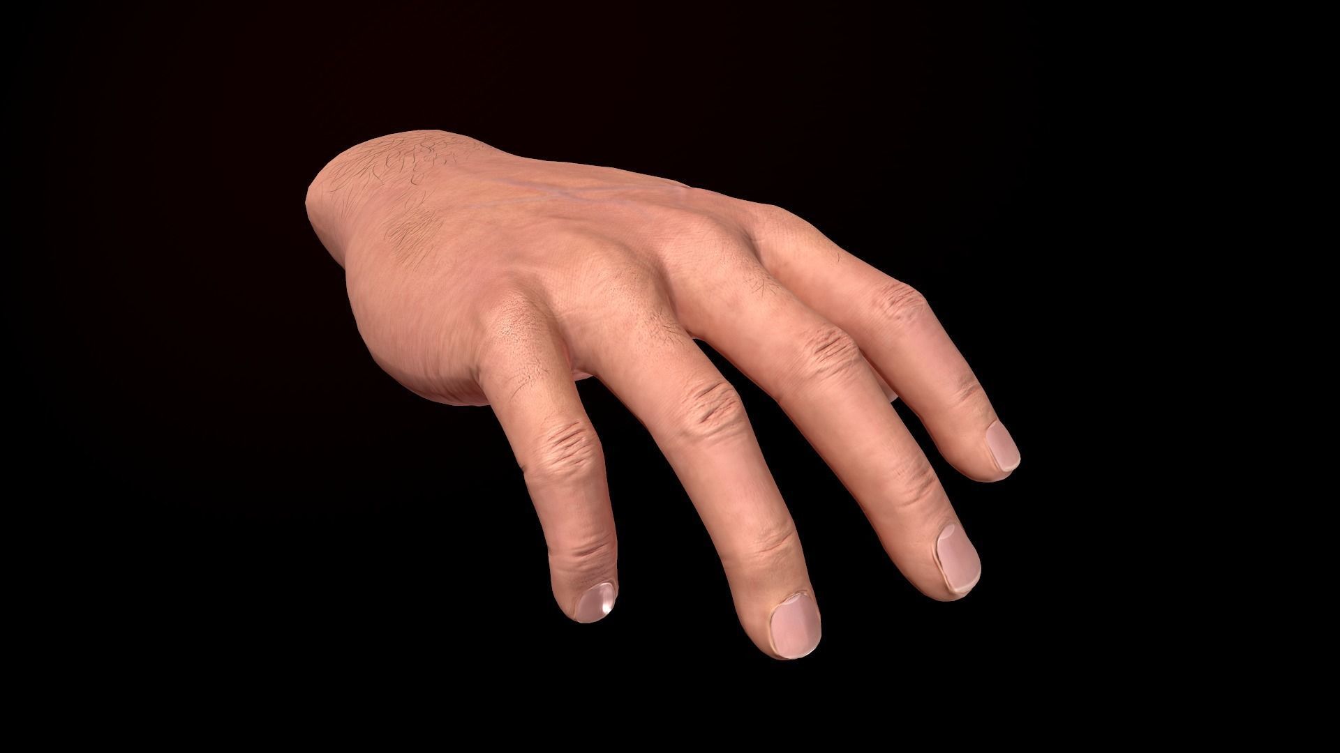 Male Hand Low-poly 3D model_12