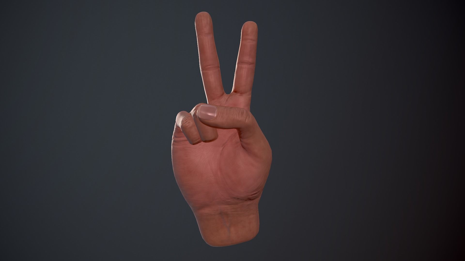 Male Hand Low-poly 3D model_17
