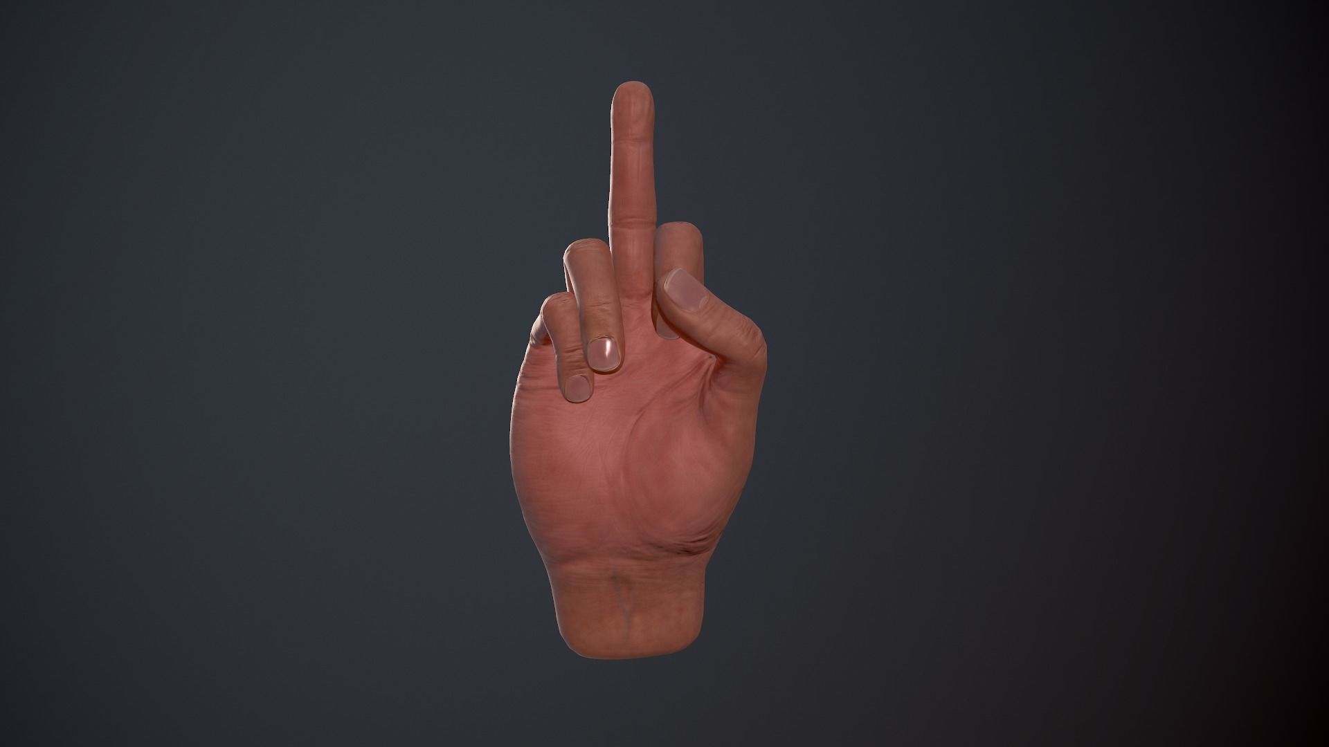 Male Hand Low-poly 3D model_24