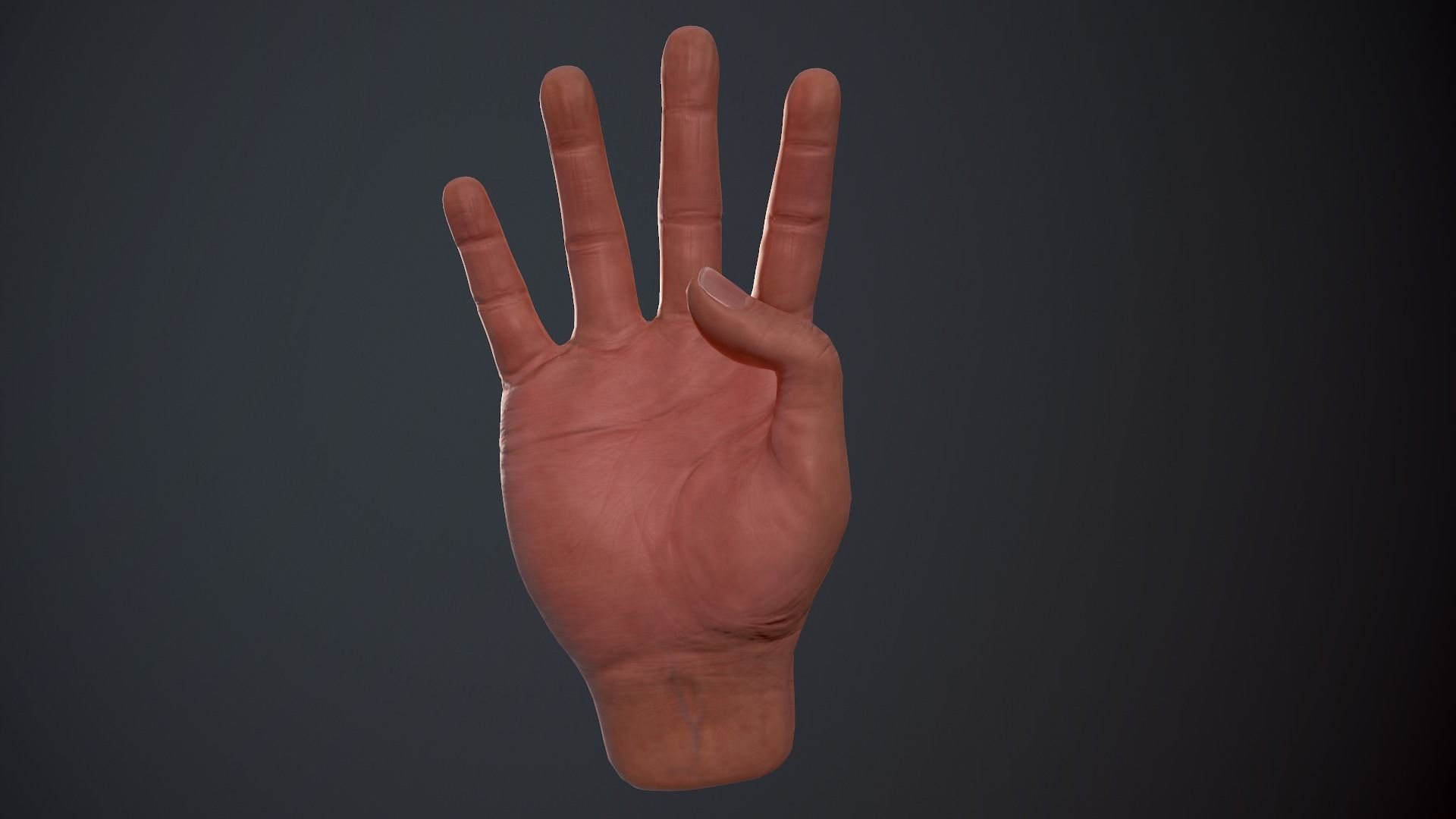 Male Hand Low-poly 3D model_19