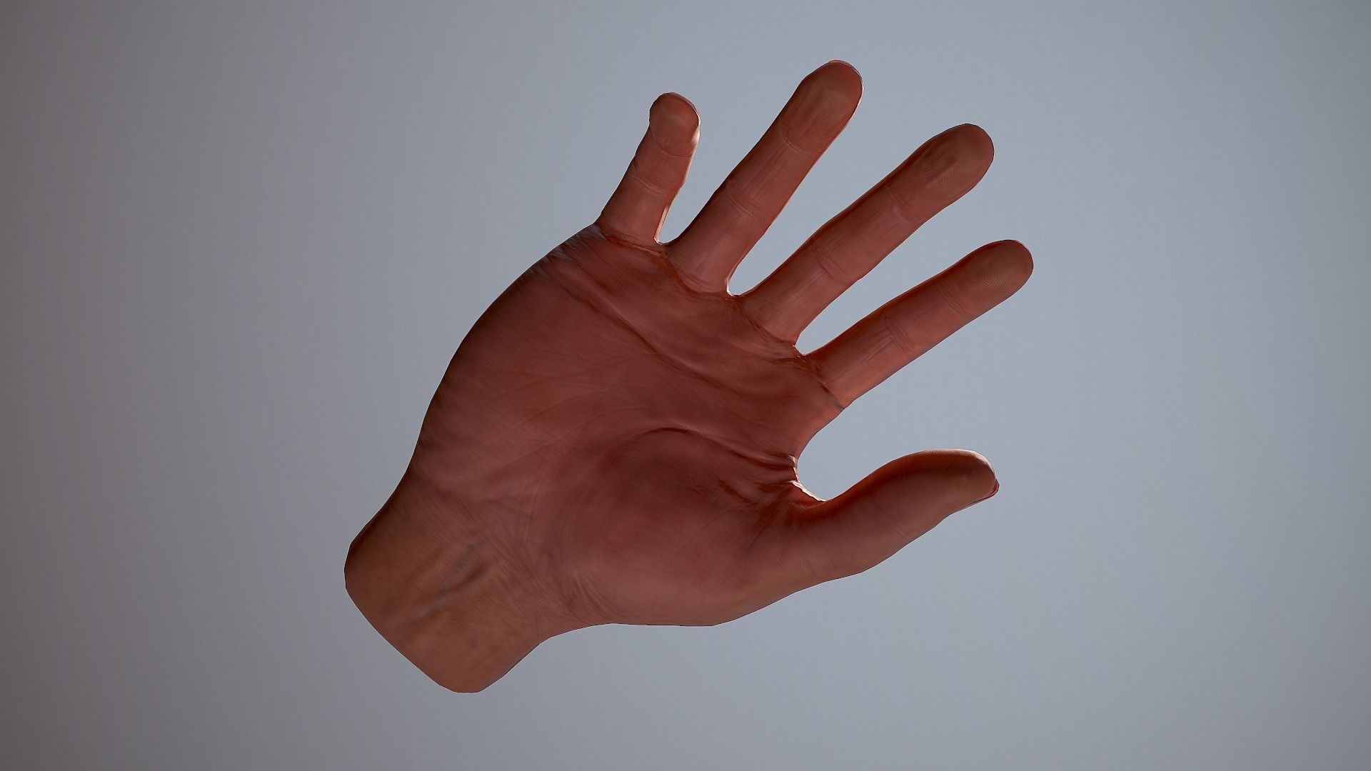 Male Hand Low-poly 3D model_25