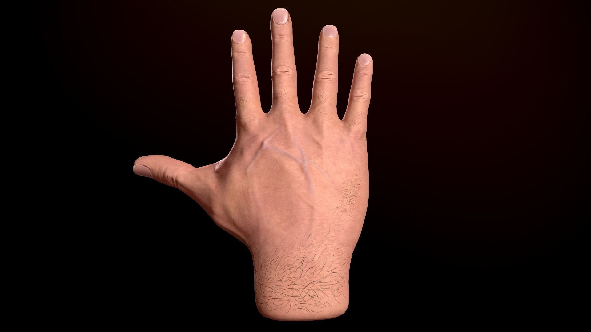 Male Hand Low-poly 3D model_13