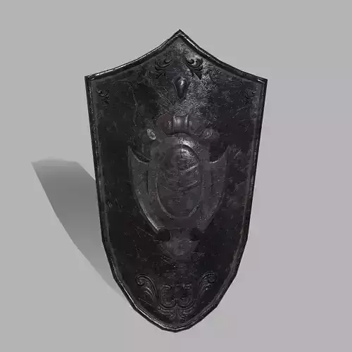 Shield sword with wooden handle