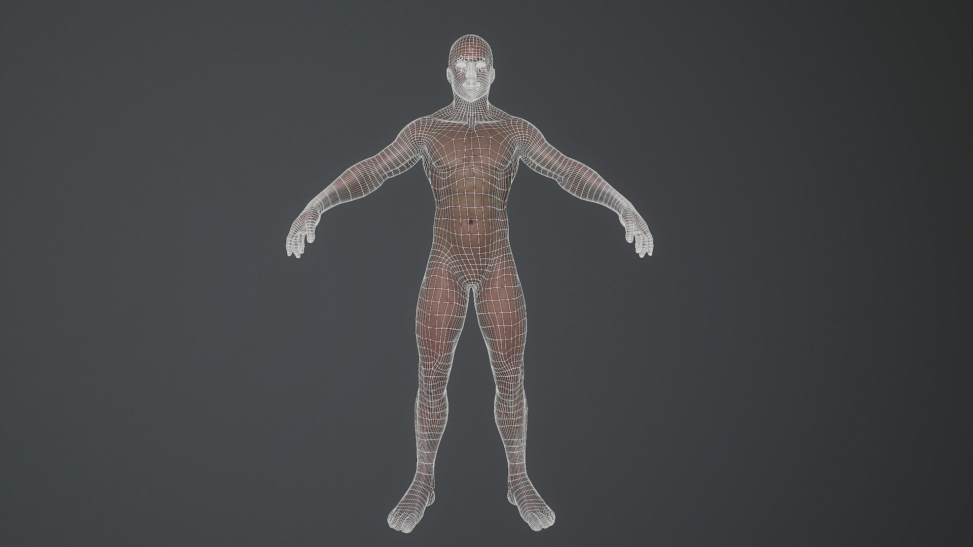 Male 3d model Low polly and high polly  Low-poly 3D model_5