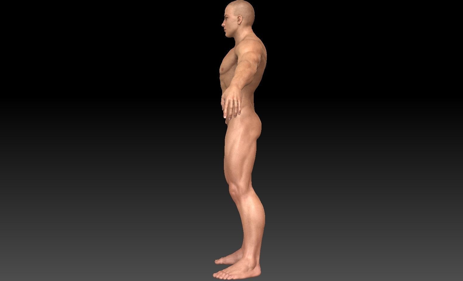 Male 3d model Low polly and high polly  Low-poly 3D model_8