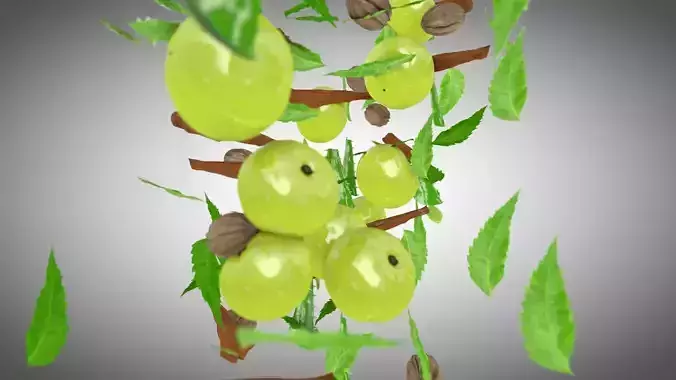 Ayurvedic bowl with grapes in it 3D model
