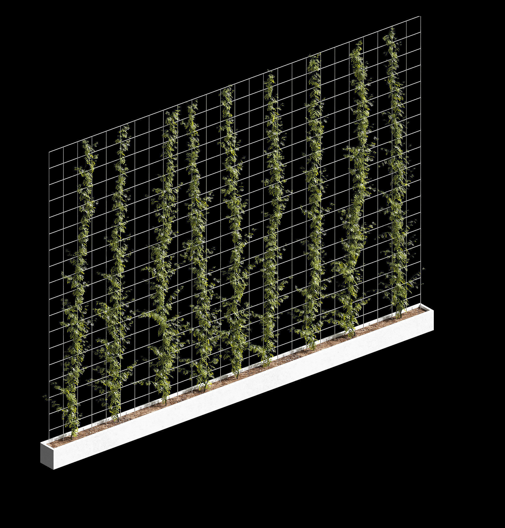Vertical plant partition 3D model_1