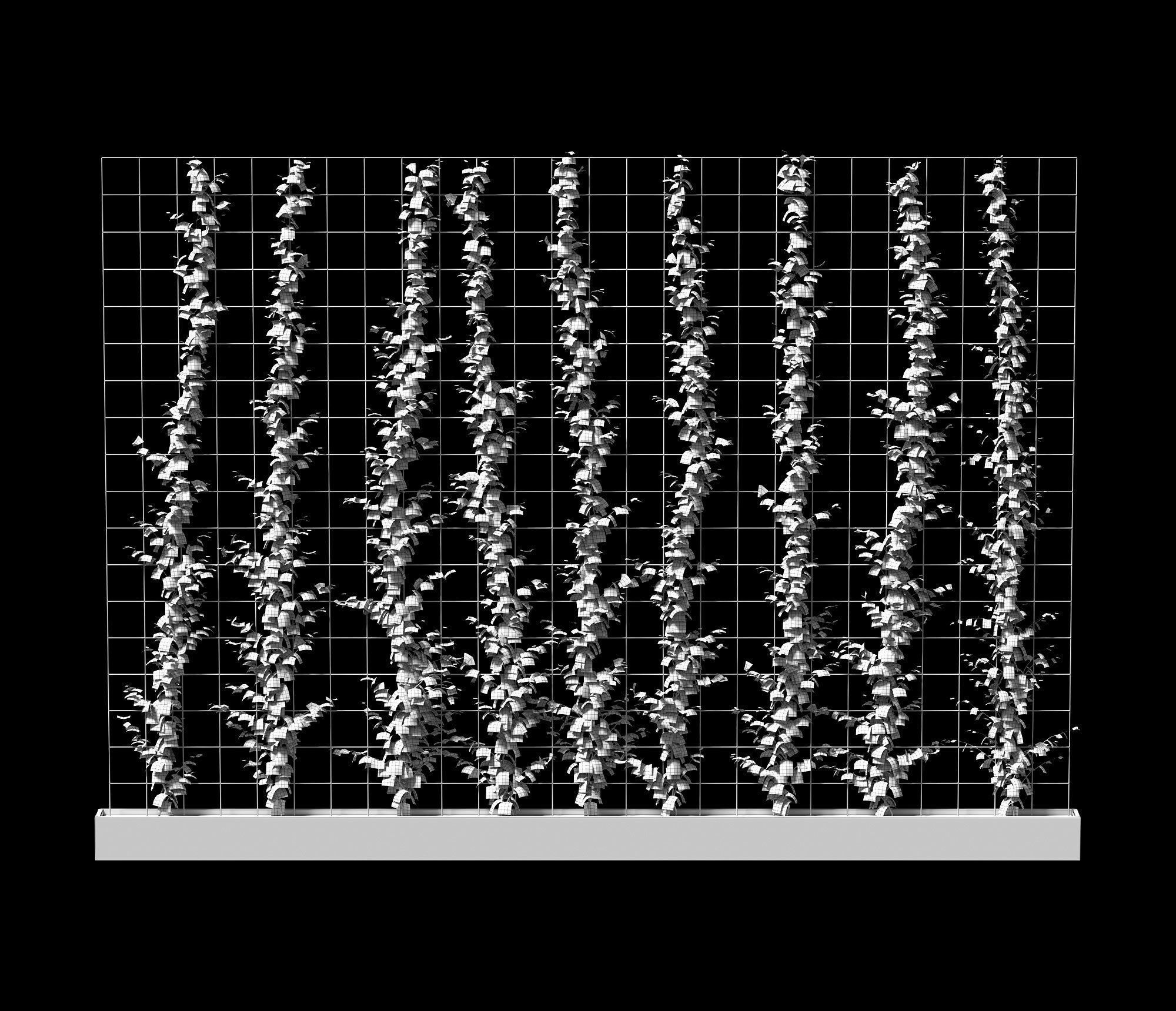 Vertical plant partition 3D model_2