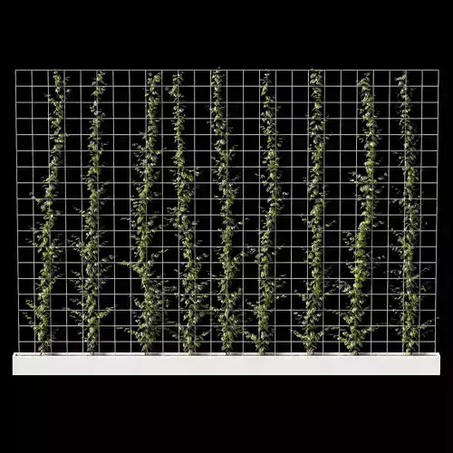 Vertical plant partition 3D model