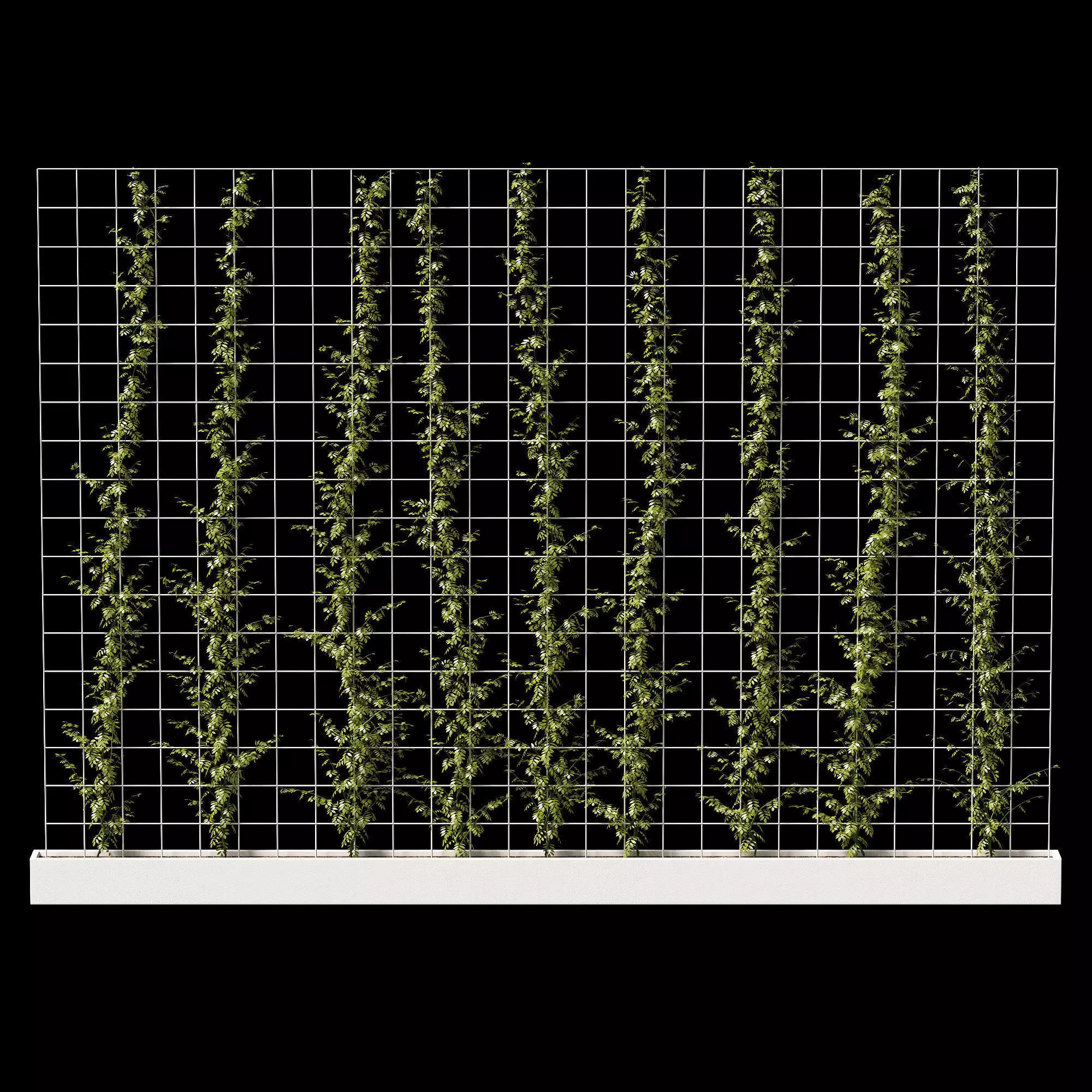 Vertical plant partition 3D model_0