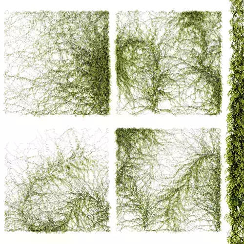 Leaves for walls - 4 models