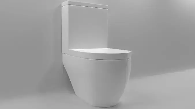 modern toilet