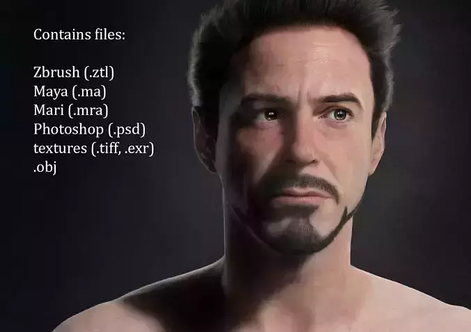 Robert Downey Jr Low-poly 3D model
