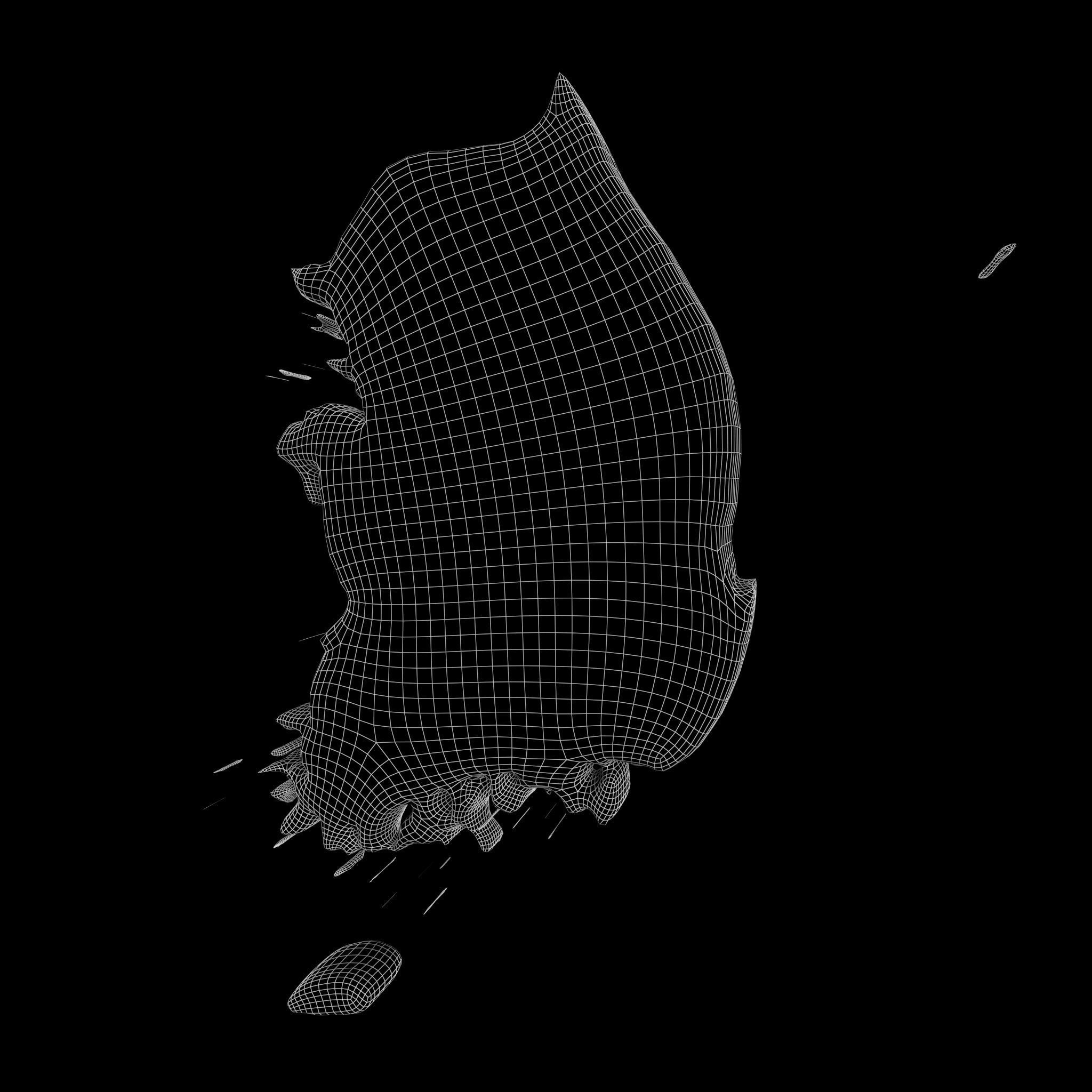 South Korea Map  Low-poly 3D model_4