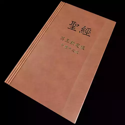 Holy bible Traditional Chinese version  