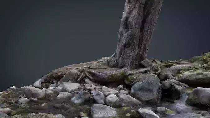 Tree River 3D model