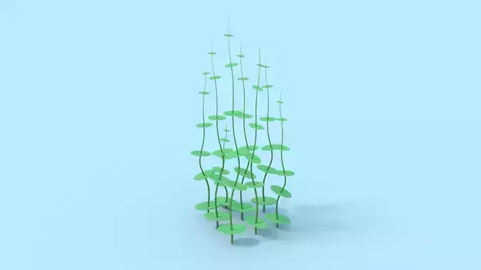 Underwater Grass 3D model