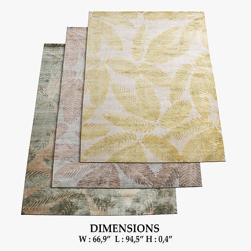 Ambrosia Rugs 164 3D model
