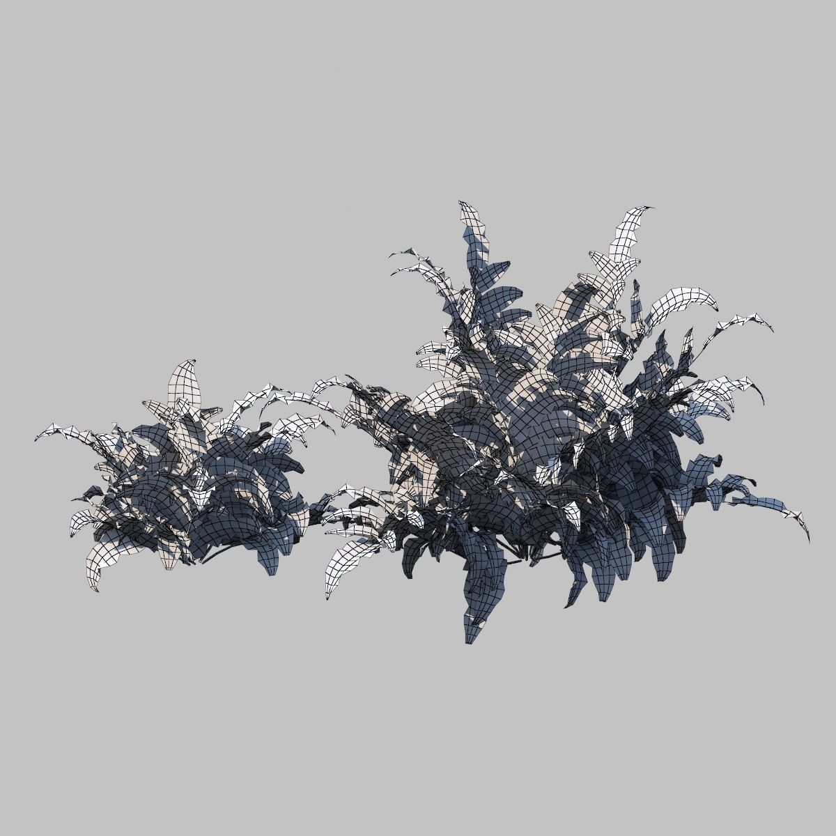 Eagle Fern B With Animation 3D model_6