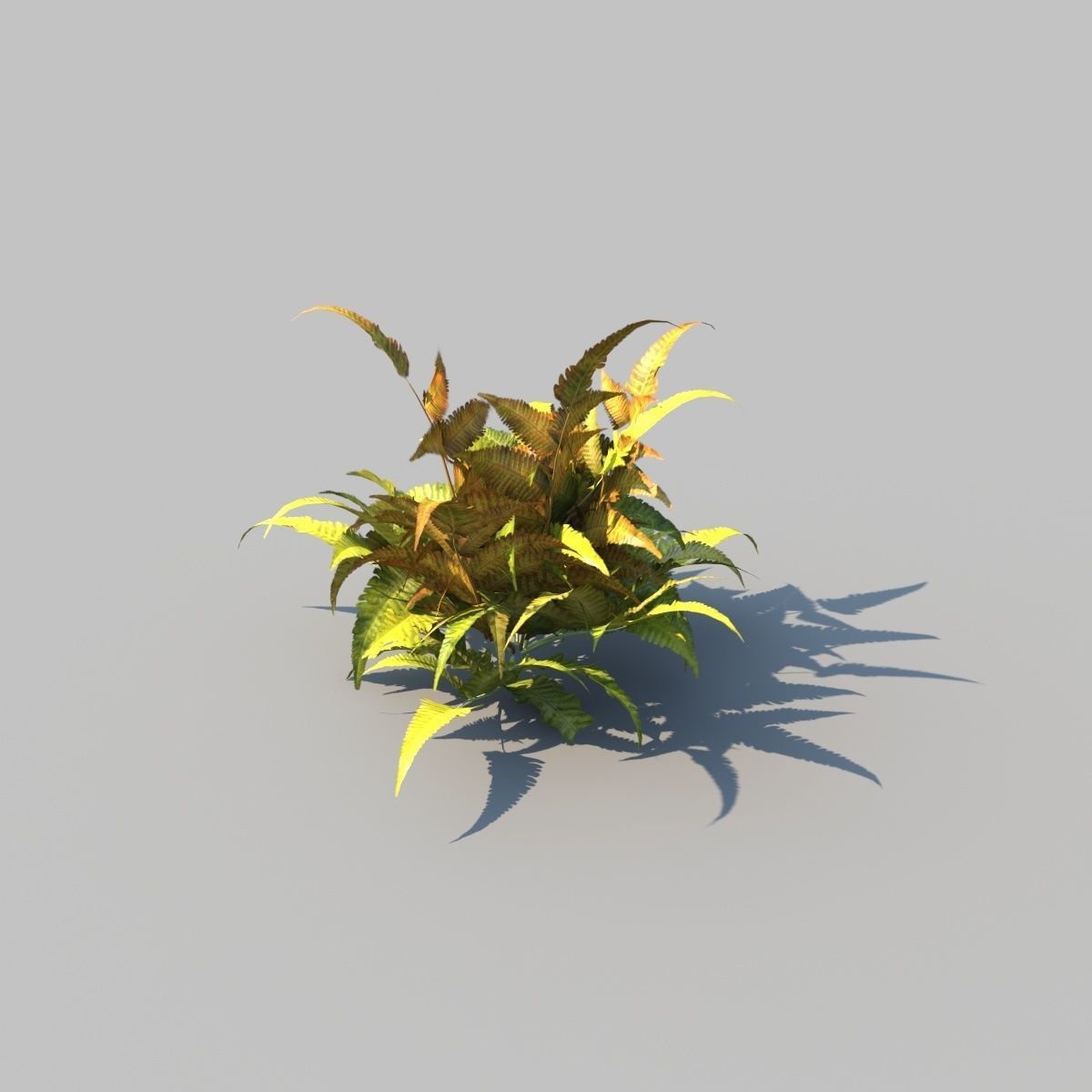 Eagle Fern B With Animation 3D model_4