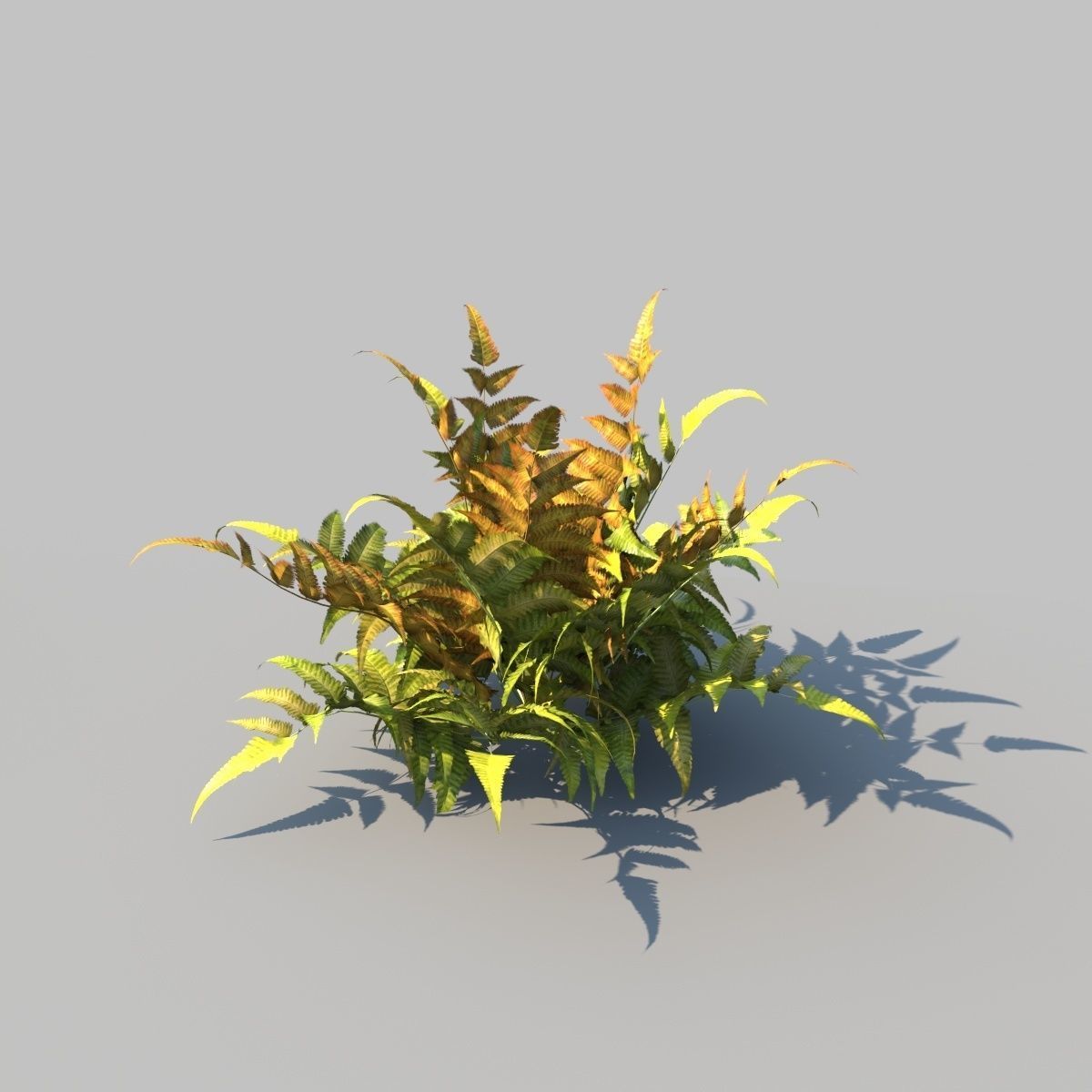 Eagle Fern B With Animation 3D model_5