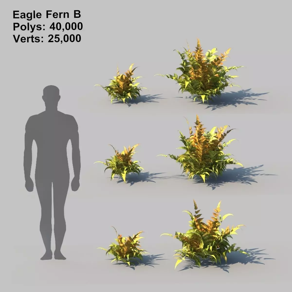 Eagle Fern B With Animation 3D model_0