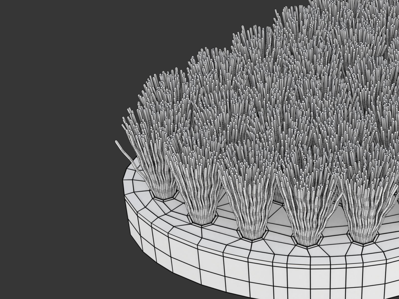 Wooden Scrub Brush 3D model_10