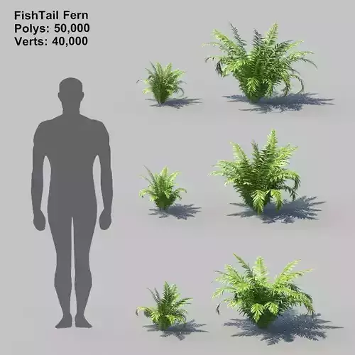 Fish Tail Fern With Animation 3D model