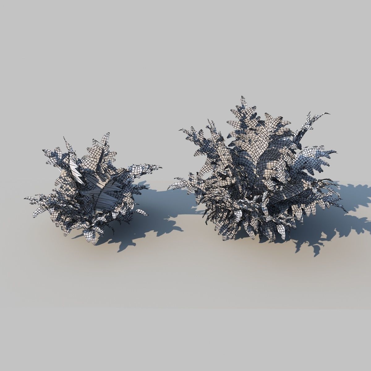 Leather Fern With Animation 3D model_6