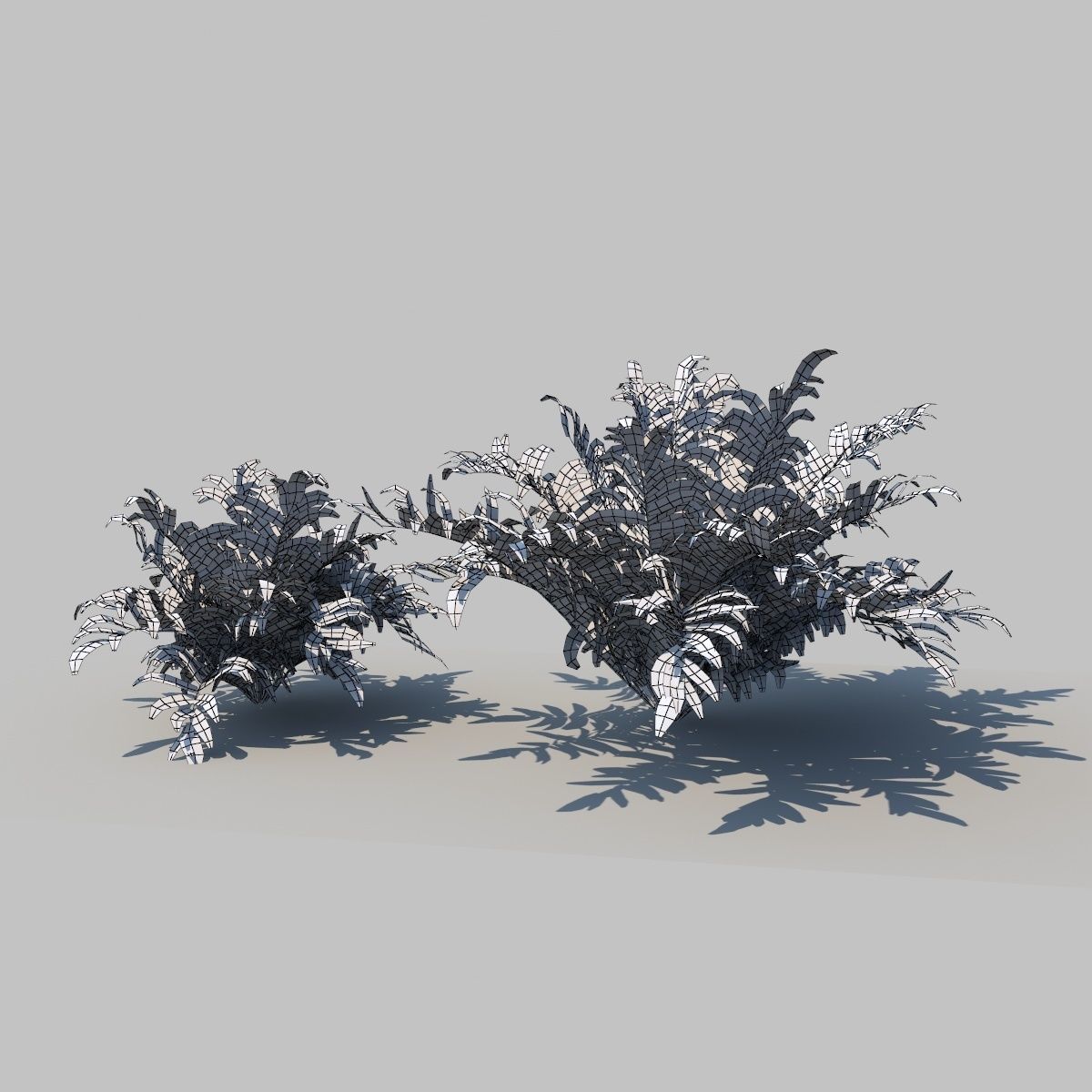 Pteris Fern With Animation 3D model_6