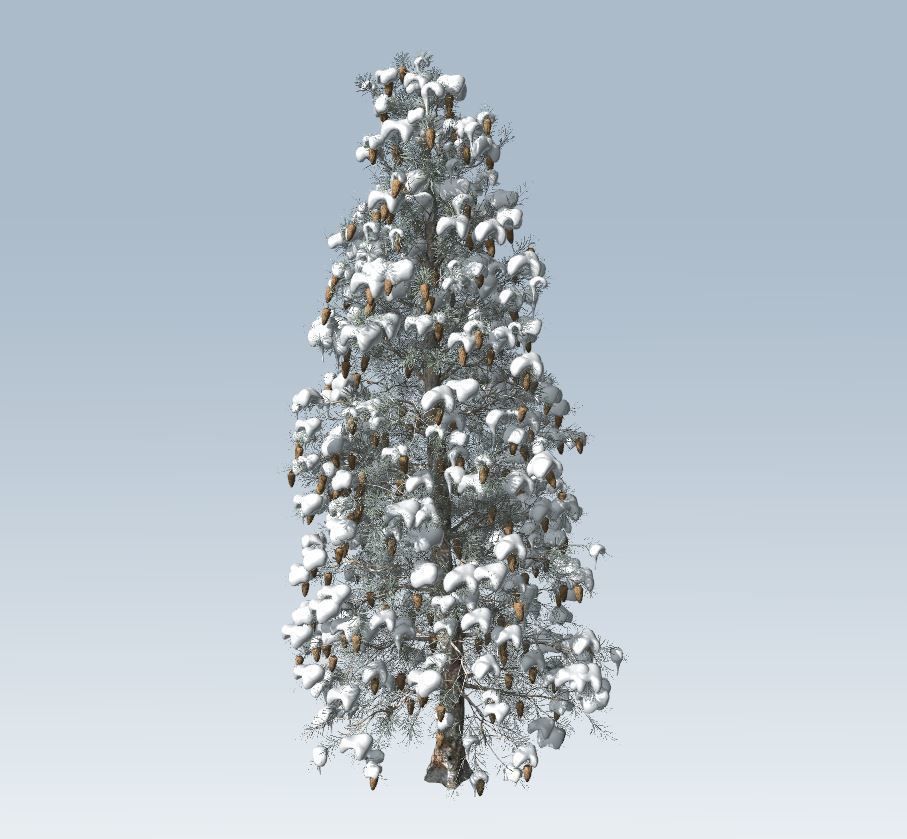 Winter trees pine set 3D Model Collection_7