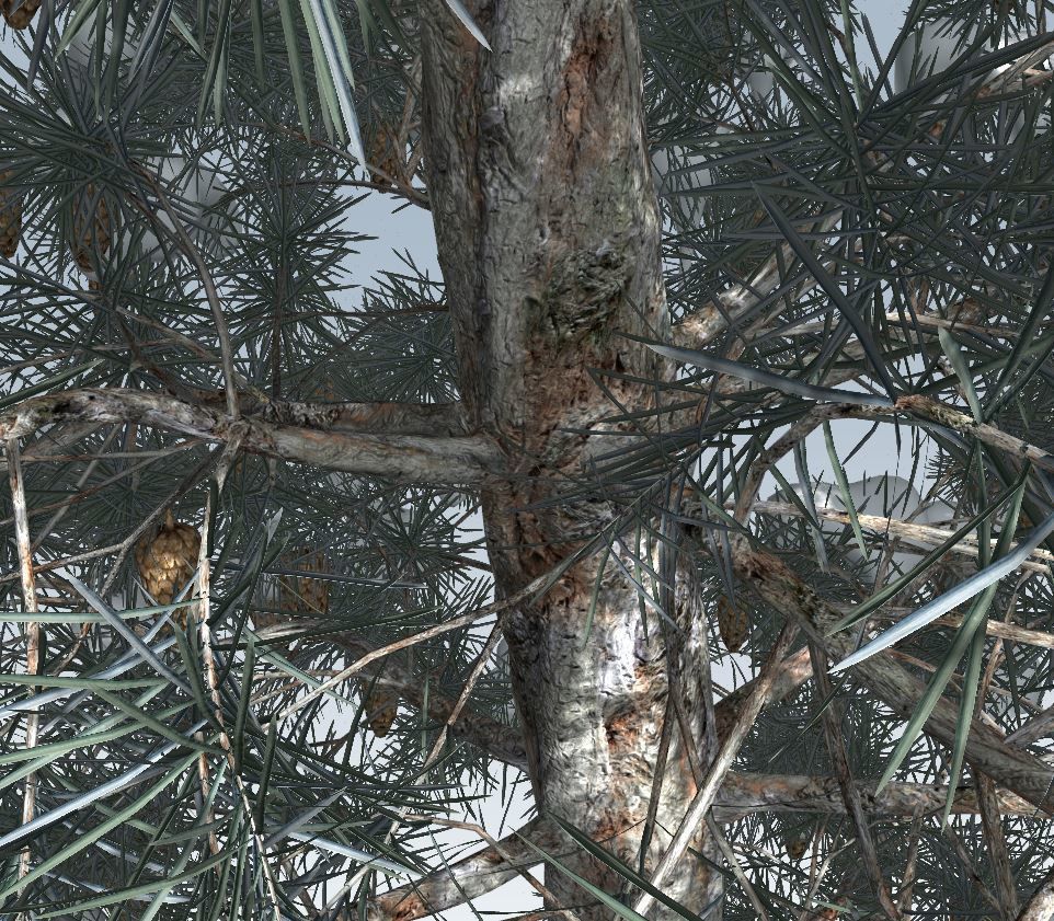 Winter trees pine set 3D Model Collection_15