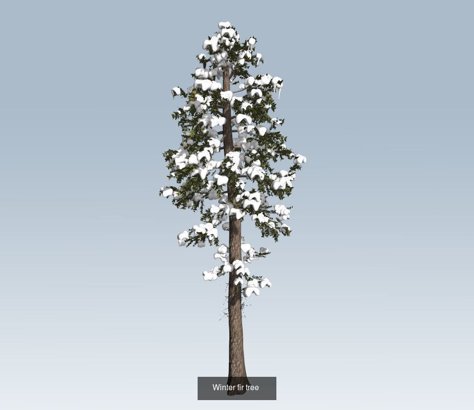 Winter trees pine set 3D Model Collection_2