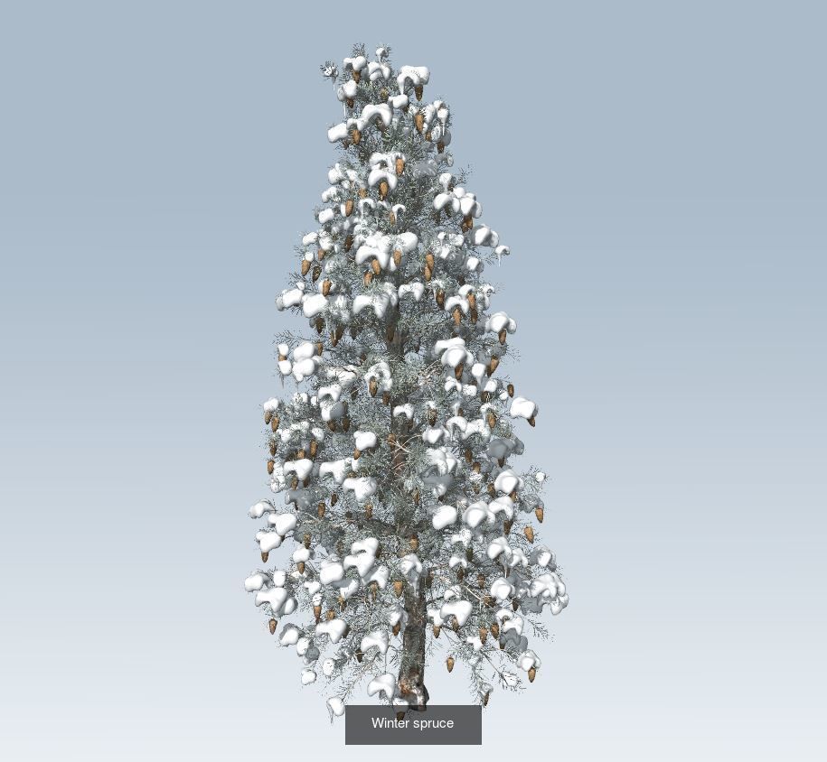 Winter trees pine set 3D Model Collection_1