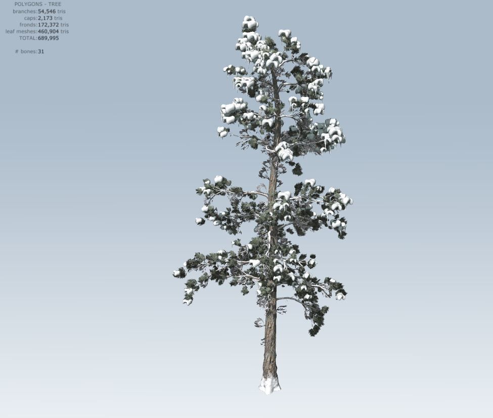 Winter trees pine set 3D Model Collection_53