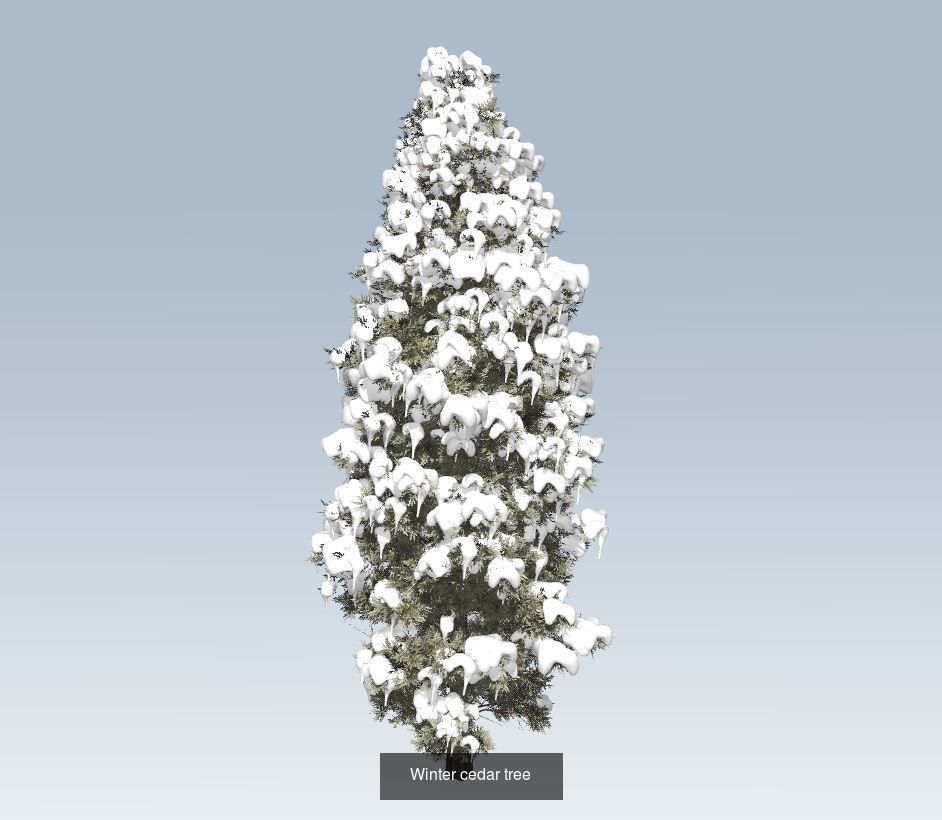 Winter trees pine set 3D Model Collection_3