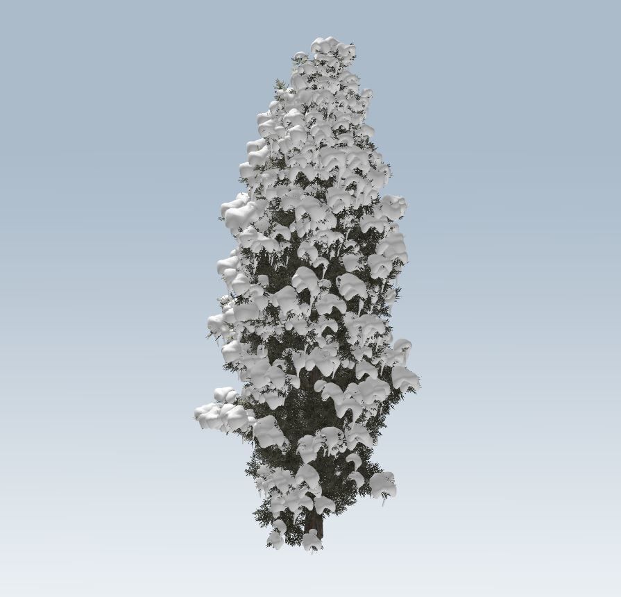 Winter trees pine set 3D Model Collection_63