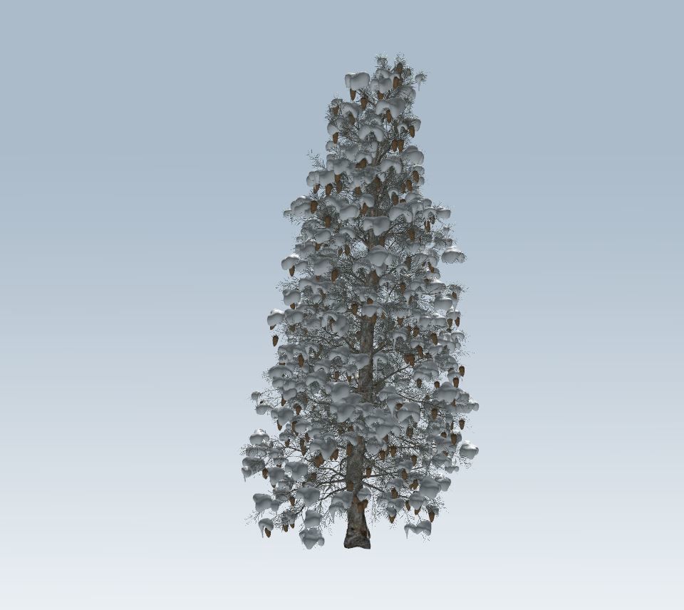 Winter trees pine set 3D Model Collection_11