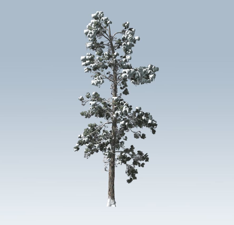 Winter trees pine set 3D Model Collection_38