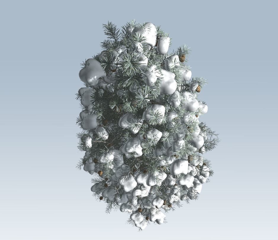 Winter trees pine set 3D Model Collection_16