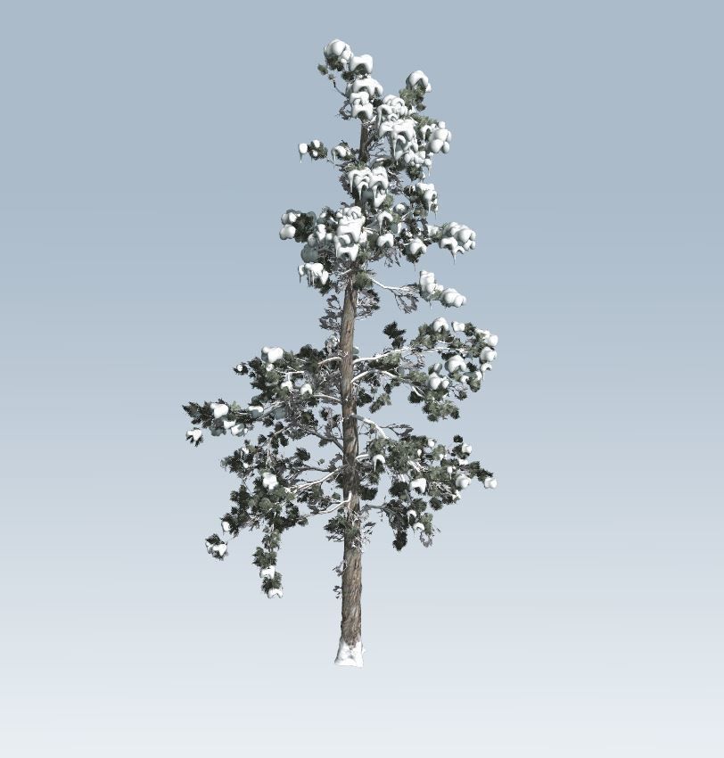 Winter trees pine set 3D Model Collection_47
