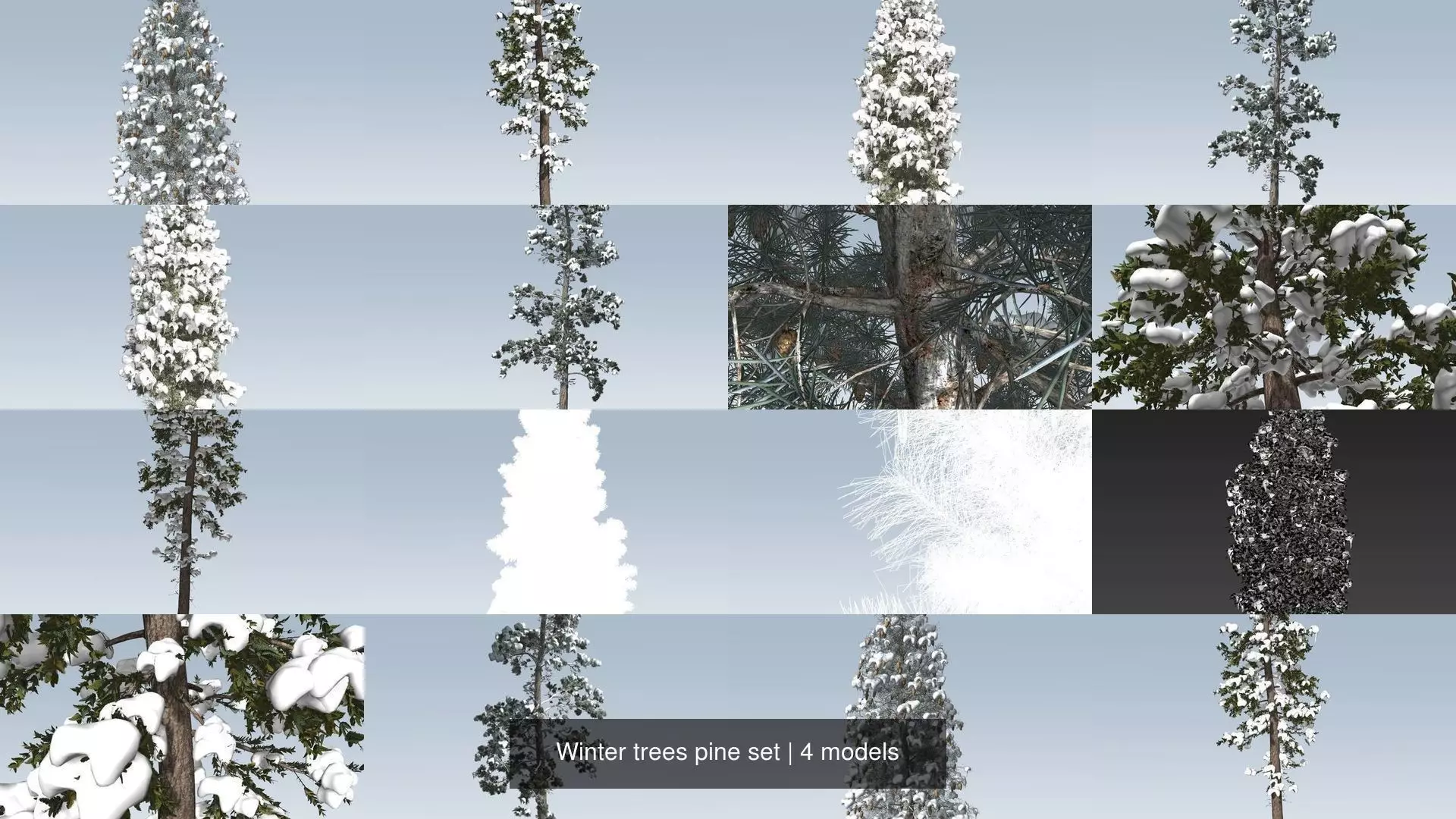 Winter trees pine set 3D Model Collection_0