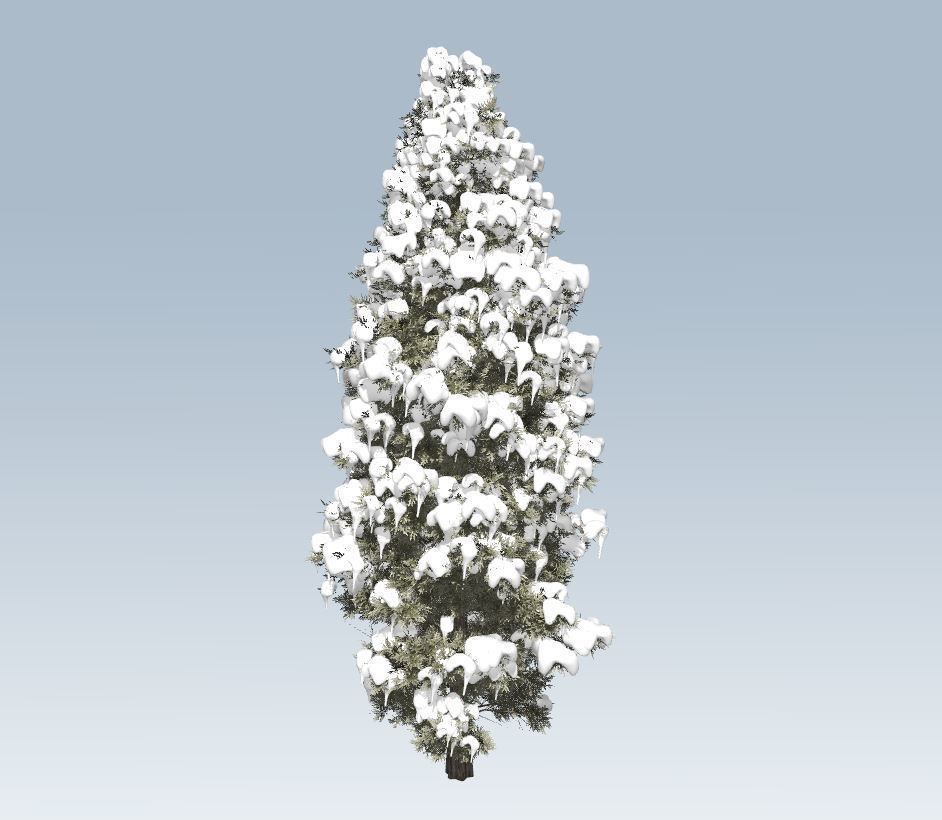 Winter trees pine set 3D Model Collection_61
