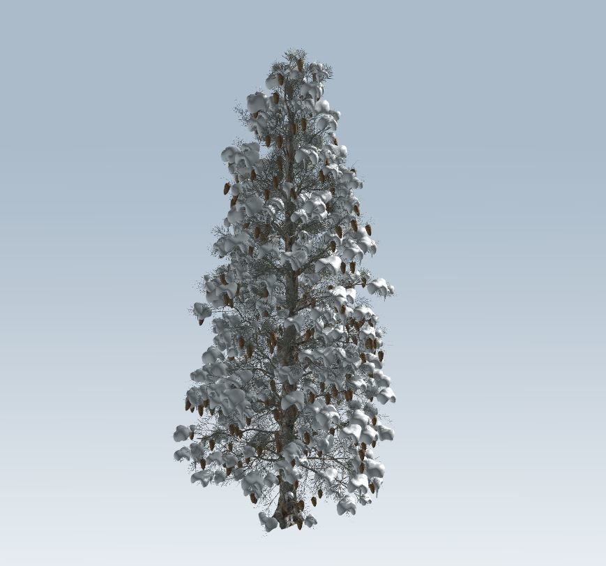 Winter trees pine set 3D Model Collection_12