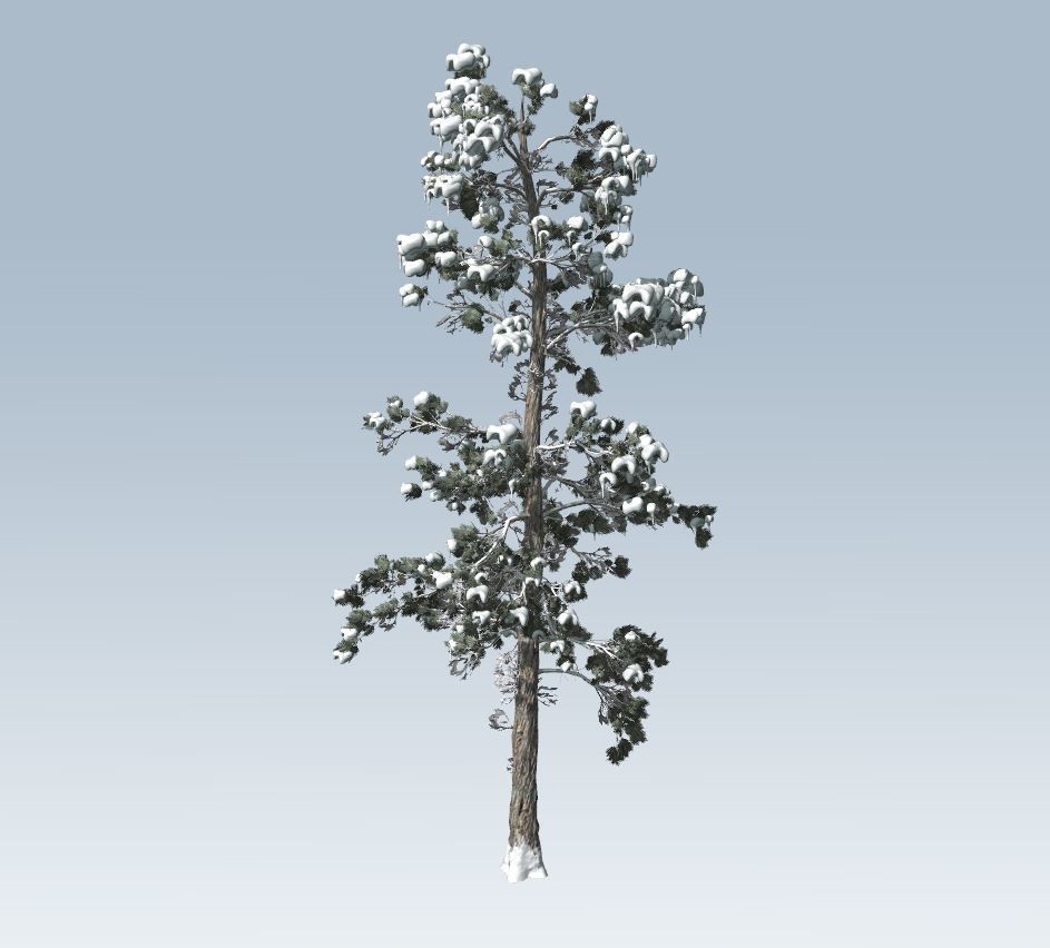 Winter trees pine set 3D Model Collection_40