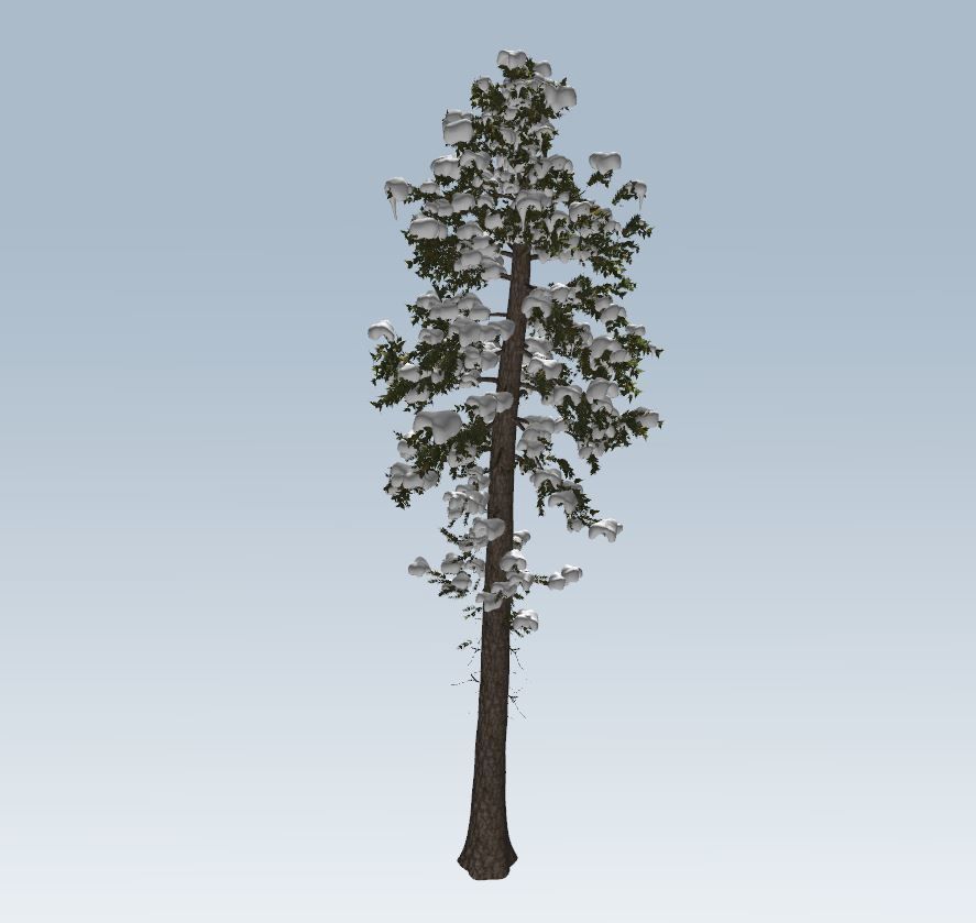 Winter trees pine set 3D Model Collection_28
